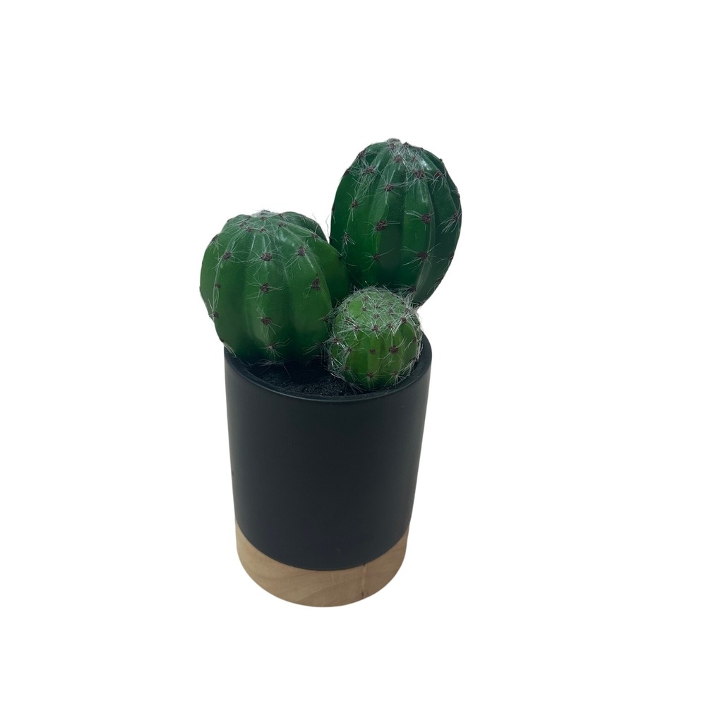 Project 62 Faux Cactus Tabletop Arrangement Black Pot‎ Wood Base 8.5 Inch Green